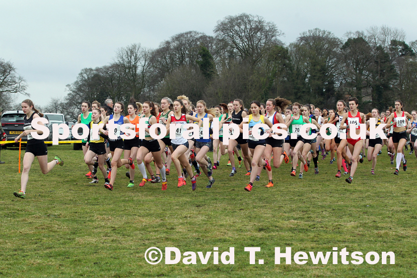 Womens under-17 Northern Cross Country Champs., Camp Hill Estate, Kirklington.  Photo: David T. Hewitson/Sports for All Pics